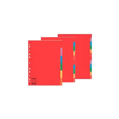 separatore economy 12tacche a4 cartoncino colorato 160gr esselte - Foto 1
