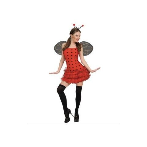 Coccinella (l) - Foto 1