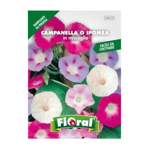 Campanella O Ipomea In Miscuglio - Busta Sementi - Foto 1