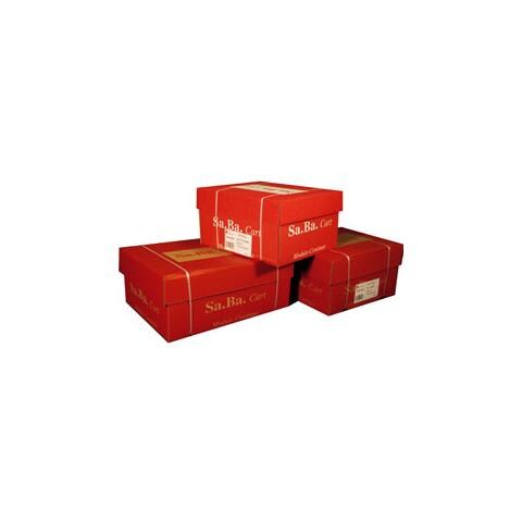 carta in modulo continuo 37,5x11"x2 53gr (1000fg) bianco piste fisse - Foto 2