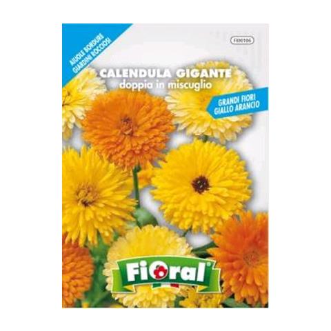 Floral Calendula Gigante Doppia In Miscuglio - Da Vaso Per Balconi - Foto 1
