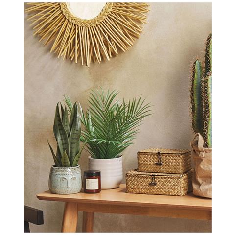 Pianta Artificiale Snake Plant 40 Cm - Foto 1