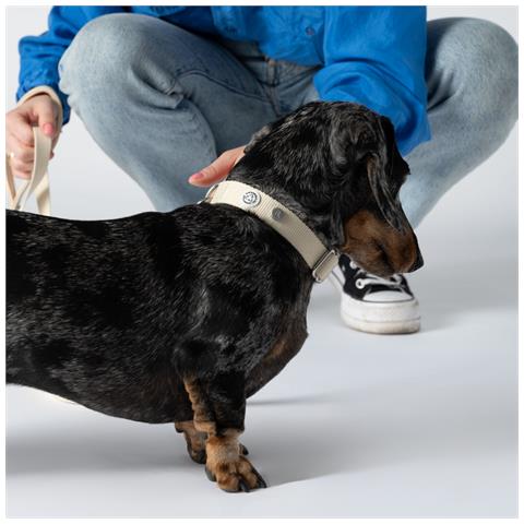 Collare Per Cani Di Sabbia - M - Foto 2
