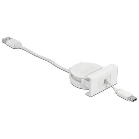 Delock Easy 45 Module Cavo Retrattile Usb 2.0 Da Usb Tipo A A Tipo Usb - Foto 1