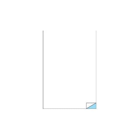 etichetta adesiva c / 503 argento 100fg a4 210x297mm (1et / fg) x laser - Foto 1