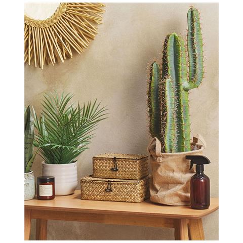Pianta Artificiale In Vaso 78 Cm Cactus - Foto 1