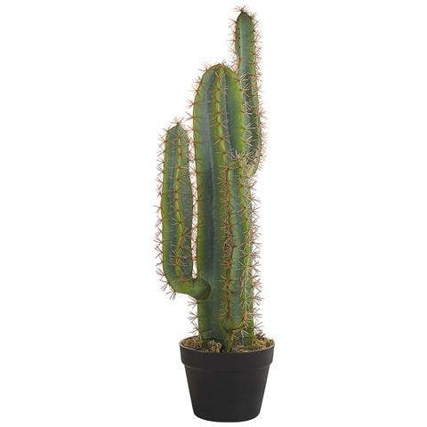 Pianta Artificiale In Vaso 78 Cm Cactus - Foto 5