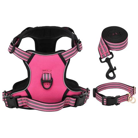 Pettorina per Cani con Guinzaglio e Collare Regolabile Rosa XL - Foto 2