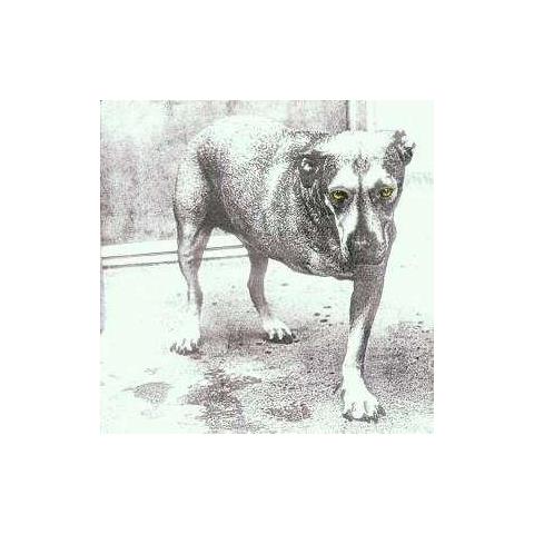 Cd Alice In Chains - Alice In Chains - Foto 2