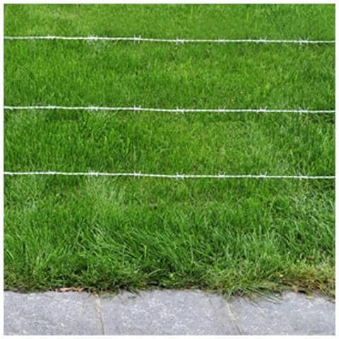 Filo Spinato Galvanizzato Per Recinzioni Metalliche, Recinti - Foto 2