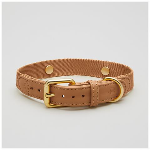 Collare Per Cani Beige - Xs - Foto 1