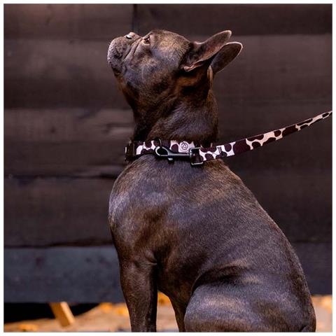 Guinzaglio Per Cani Da Mucca - Foto 2