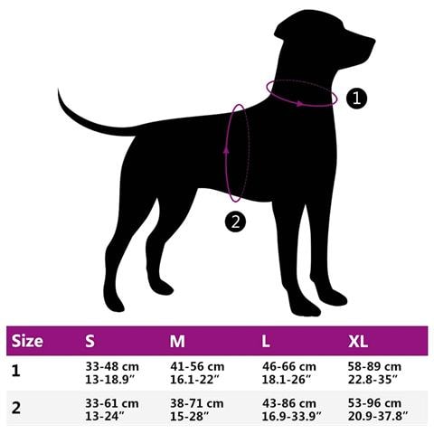 Pettorina Cani con Guinzaglio e Collare Regolabile Marrone XL - Foto 2
