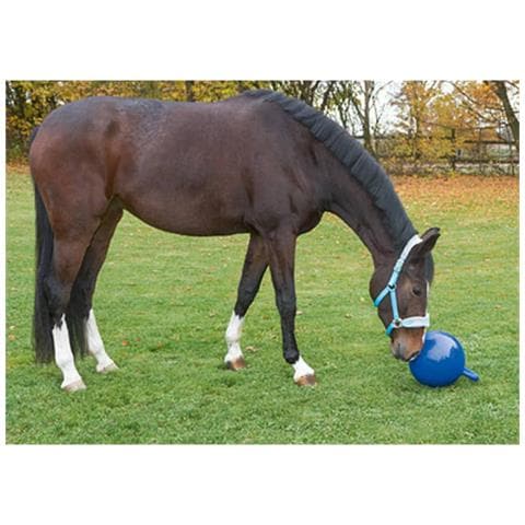 Palla Da Gioco Per Cavalli Blu 25 Cm 32399 - Foto 2