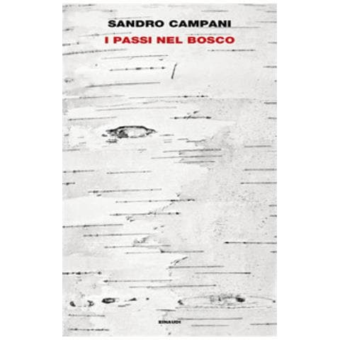 Sandro Campani - I Passi Nel Bosco - Foto 1