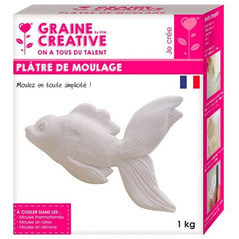 Gesso Da Colata 1 Kg - Foto 1