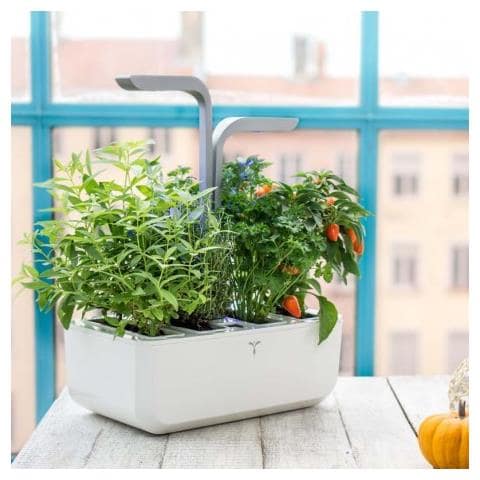SMART Garden Bianco - Coltivazione Indoor con Regolazione Automatica del LED in base alla Luce Ambientale - Kit di 4 Semi Inclusi - Foto 3