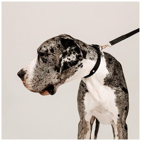 Guinzaglio Per Cani Neri - L - Foto 3