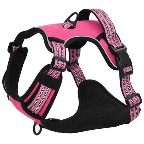 Pettorina per Cani con Guinzaglio e Collare Regolabile Rosa L - Foto 2