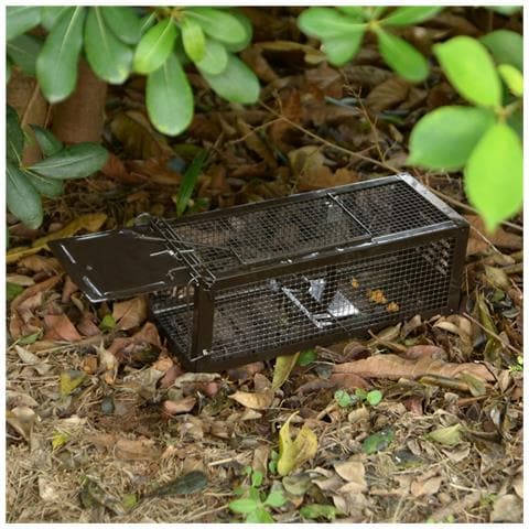 Trappola Per Topi 32×13×13cm - Ferro Gabbia Trappola Professionale Per Catturare Mouse, Topo, Criceto, Talpa, Donnole, Marmotte Senza Ucciderli - Foto 7