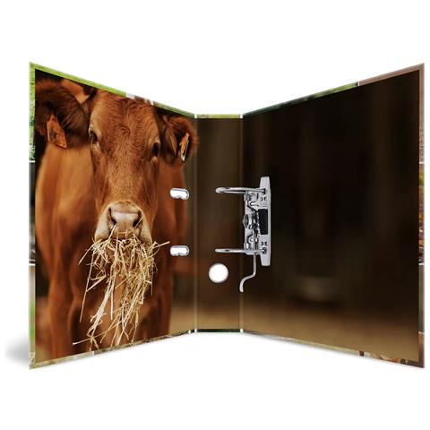 19253 raccoglitore ad anelli A4 Multicolore - Foto 2