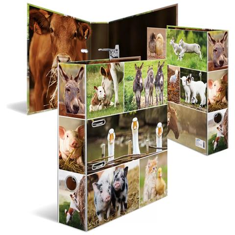 19253 raccoglitore ad anelli A4 Multicolore - Foto 1