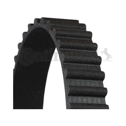 Cinghia Dentata Ct524 - Foto 1