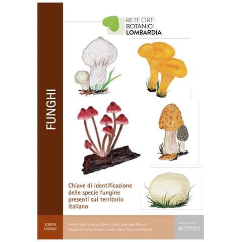 Patrizia Brenna - Funghi. Chiave di identificazione delle specie fungine presenti nel territorio italiano - Foto 1