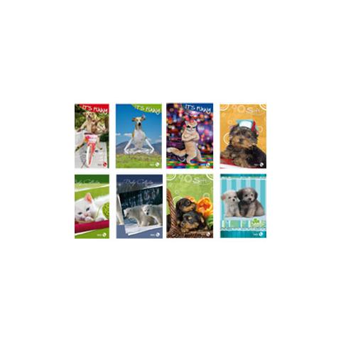 confezione da 12 pezzi - maxiquaderno a4 80gr 80fg+1 rigo di 1a copertina 250gr color 80 - Foto 1