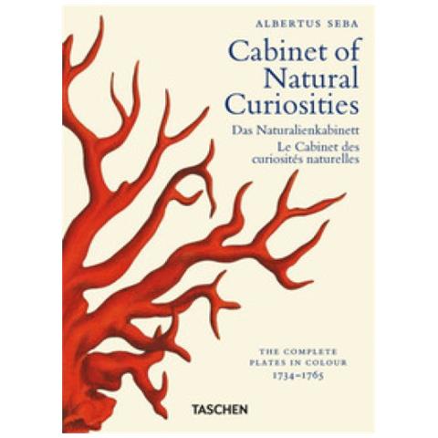 Irmgard Musch - Seba. Cabinet of natural curiosities. 40th Ed. Ediz. inglese, francese, tedesca - Foto 1