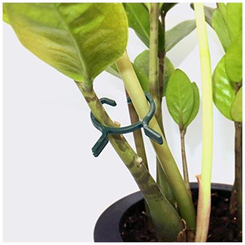 100 Clips Impianto Pcs Clip Giardino Vitato Clip Di Fissaggio Per Stelo Support (m)  - Foto 3