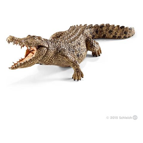 COCCODRILLO (5) - Foto 1