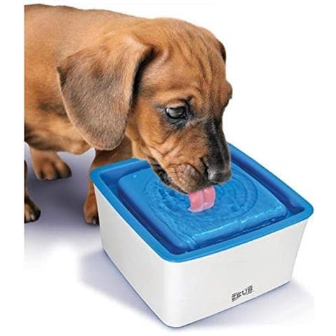 Zeus Dog Mini Fountain - Foto 1