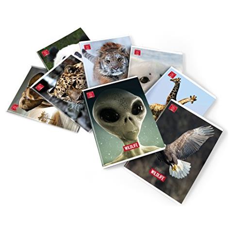 Cf10 Quaderni Wildlife 80g 0a - Foto 2