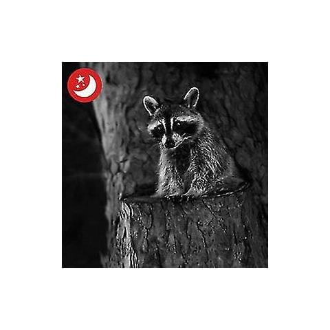 Camera Da Fauna Selvatica, Occhiali Per Visione Notturna Ip66 Impermeabile E-angolo A 120 Largo. - Foto 5