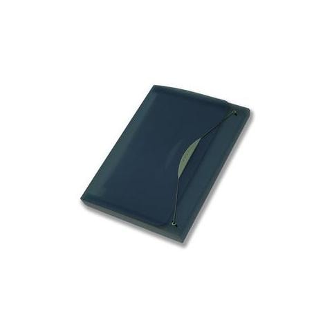 cartellina 12 tasche grigio 23x33cm swing - Foto 1