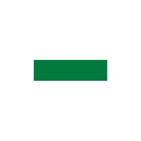 Premium Rc Colori Acrilici Per Modellismo / Aerografia 60 Ml (62013 Basic Green) - Foto 1