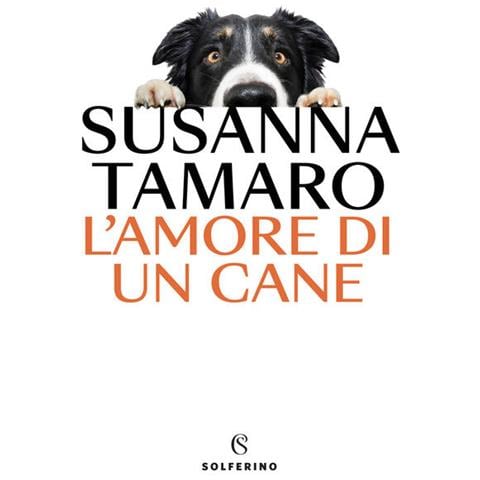 L'amore Di Un Cane - Foto 1