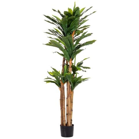 Pianta Di Dracena Artificiale Decorativa In Vaso 40x30x150h Cm - Foto 2