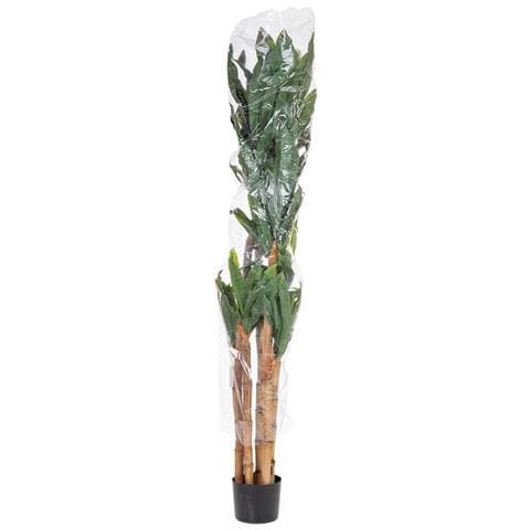 Pianta Di Dracena Artificiale Decorativa In Vaso 40x30x150h Cm - Foto 7