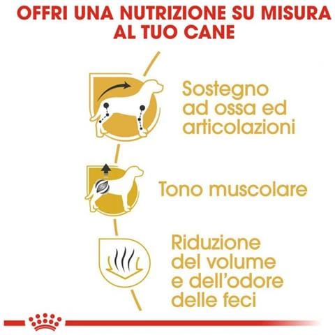 Cibo per cani Dachshund (Bassotto) 500 gr - Foto 3