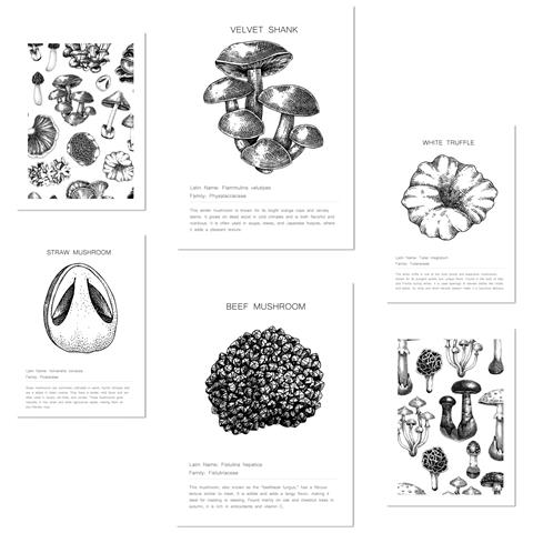 Set Di 6 Stampe Foglio Decorativo Con Composizione Di Funghi In Bianco E Nero Con Illustrazione Di Design Per Decorare Le Pareti Dell'ufficio Domestico A3 & A4 Senza Cornice - Foto 1