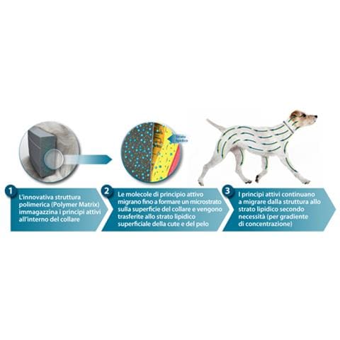Collare Seresto di Bayer per cani fino a 8 Kg contro pulci e zecche - Foto 9