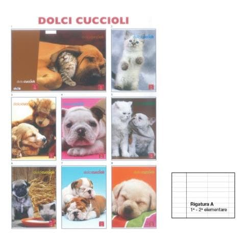 Quaderno Maxi A4 Rigatura 0a Righe 1a 2a Elementare Acquisto Minimo 10 Pezzi O Multipli - Foto 1