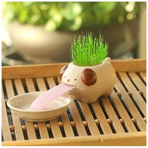 Mini Self-suction Ceramic Flower Pots With Tray For Succulents Cactus Flower Pots Decoration For Home, Office, Indoor, Puppy - Foto 2