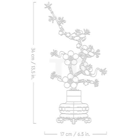 Albicocco Giapponese 10369 Botanical Collection - Foto 4