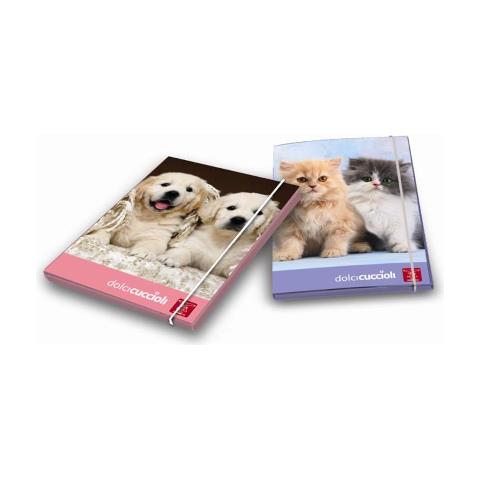 Cartellina Tre Lembi Con Elastico Formato A4 - Foto 1