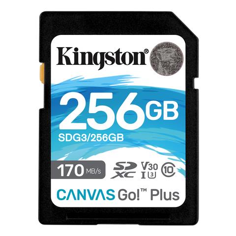 Scheda SDXC Canvas Go! Plus 256 GB UHS-I di Classe 10 Velocità 170 MB / s in lettura - Foto 1
