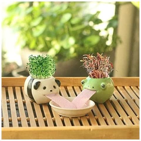 Mini Self-suction Ceramic Flower Pots With Tray For Succulents Cactus Flower Pots Decoration For Home, Office, Interior, Frog - Foto 2