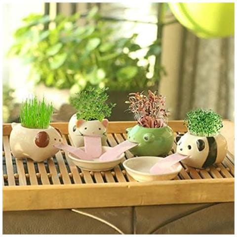 Mini Self-suction Ceramic Flower Pots With Tray For Succulents Cactus Flower Pots Decoration For Home, Office, Interior, Frog - Foto 4
